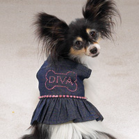 denimdress.jpg